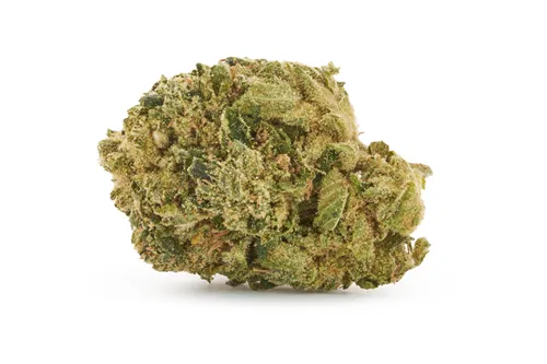 Product image of Salty Pink - Salt Spring Magic - Dried Flower