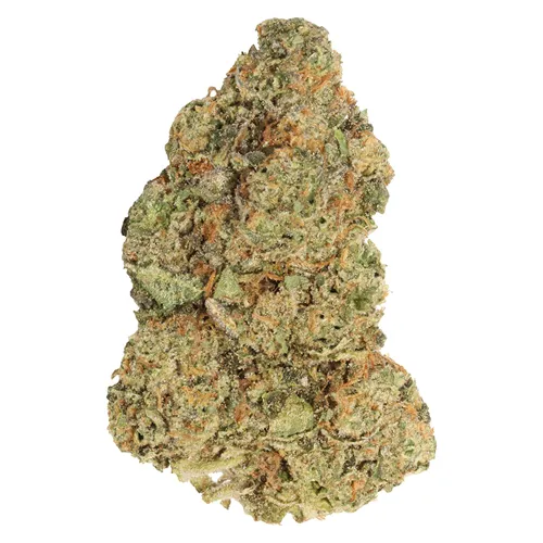 Spiked Mai Tai - Carmel - Dried Flower