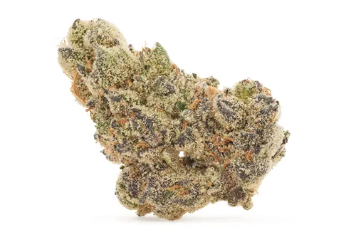 Product image of BC Organic Bling Blaow - Coast Mountain Cannabis - Dried Flower