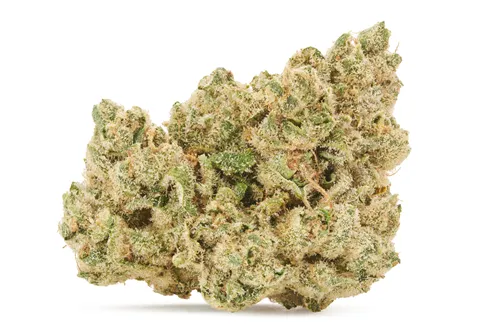 EmergenZ - Broken Coast - Dried Flower