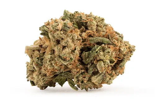 Product image of Heavy Gravity LTO - BC 1/2 Oz - Dried Flower
