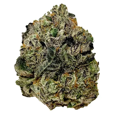 Modified Grapes - BC Green - Dried Flower