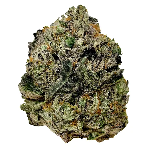 Product image of Modified Grapes - BC Green - Dried Flower