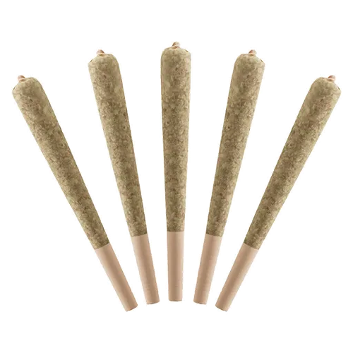 Product image of Watermelon - Standard Issue - Infused Joints