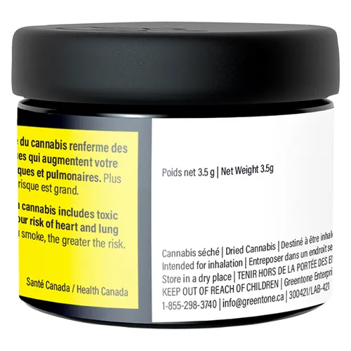 Grape Pie - 3Saints - Dried Flower