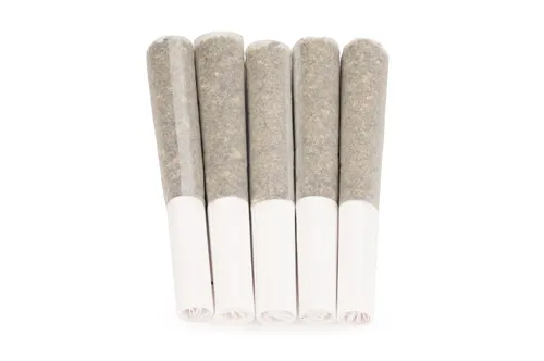 CBD Runtz - Orchid CBD - Joints