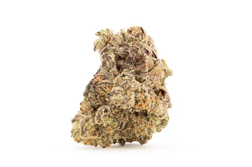 La Bomba - Broken Coast - Dried Flower