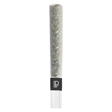 Product image of Bubble Hash Infused - Pistol and Paris - Infused joints