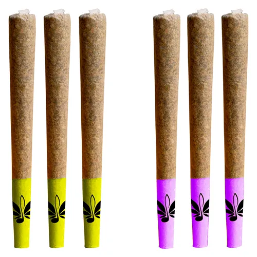 Day & Night Mixed Pack - High Note - Joints