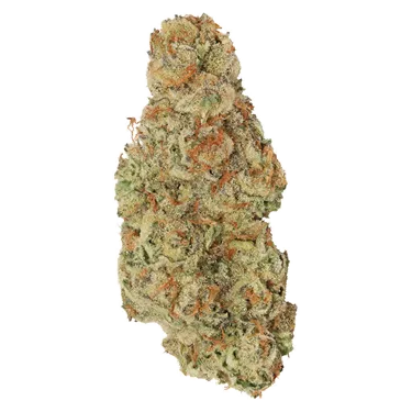 Product image of Garlic Mintz - Tuck Shop - Dried Flower