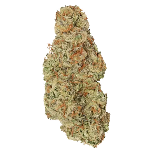 Product image of Garlic Mintz - Tuck Shop - Dried Flower