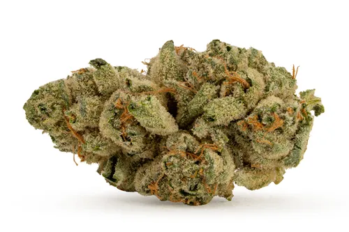 Product image of Old Money - BC 1/2 OZ - Dried Flower