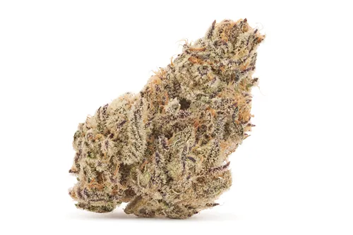 Gold Cash Gold - 3rd Coast Genetics - Dried Flower