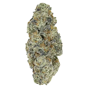 Product image of Perma Fried - Pistol and Paris - Dried Flower