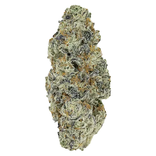 Product image of Perma Fried - Pistol and Paris - Dried Flower