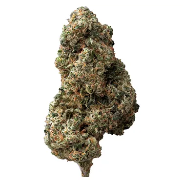 Product image of Sticky Bunz - The Loud Plug - Dried Flower