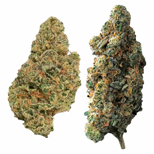 2-in-1 Variety Pack - SPLITZ - Dried Flower