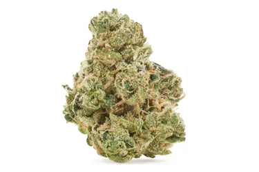 Product image of Zashimi Smalls - BC Smalls - Dried Flower