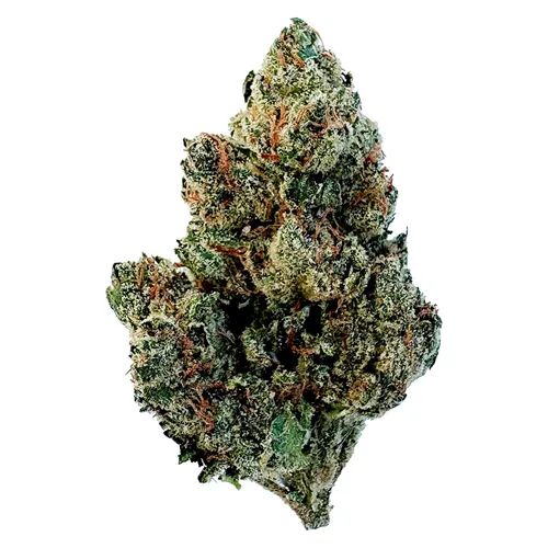 Product image of Marshmallow OG - 3Saints - Dried Flower