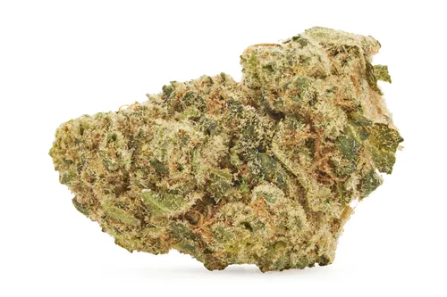 Product image of Energizer Bunnies - BC 1/4 - Dried Flower