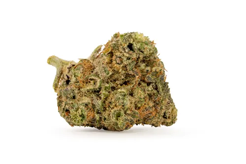 UK Cheddar Cheese - Big Bag O' Buds - Dried Flower