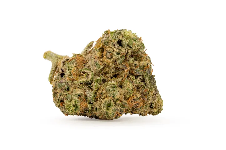 Product image of UK Cheddar Cheese - Big Bag O' Buds - Dried Flower