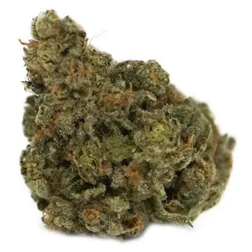 Product image of Exotic Gas - The Loud Plug - Dried Flower