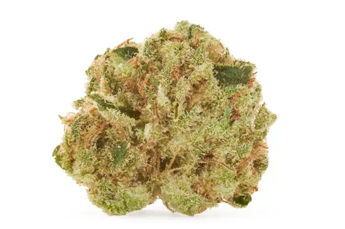 Product image of Super Lemon Haze Smalls - Uncle Bob - Dried Flower