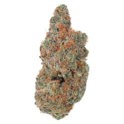 Product image of Strawberry Gary - Coterie - Dried Flower