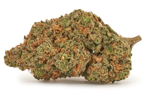 BC Organic Lime Mjito - Simply Bare - Dried Flower