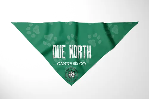 Product image of Pet Bandana, Green