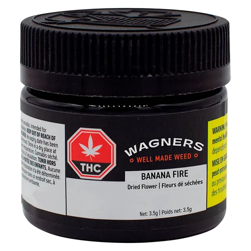 Banana Fire - Wagners - Dried Flower