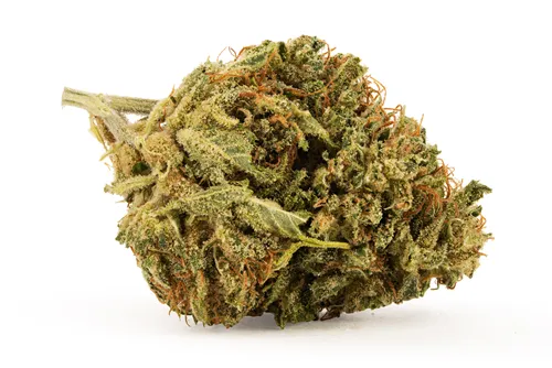 Product image of Day Dreamin' CBD Infused - Grown Here Farms - Infused Flower