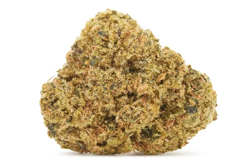 Product image of Citrus City OG - BC OZ - Dried Flower