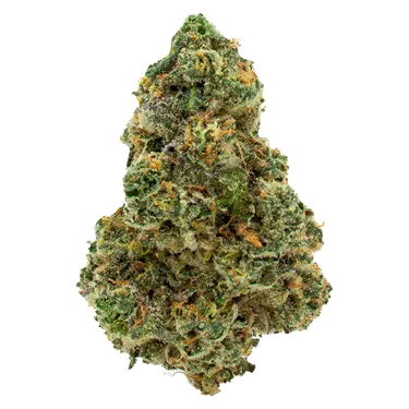 Product image of Michigan Melonz - 3rd Coast Genetics - Dried Flower