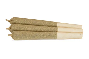 Product image of Red Congo x Guava - Rocky Mountain Cannabis - Joints
