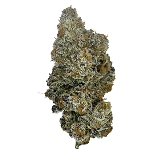Product image of Kadillac Rainbow - The Kitchen - Dried Flower