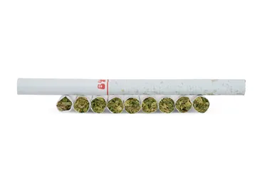 Product image of Lemon Diesel - Back Forty - Joints
