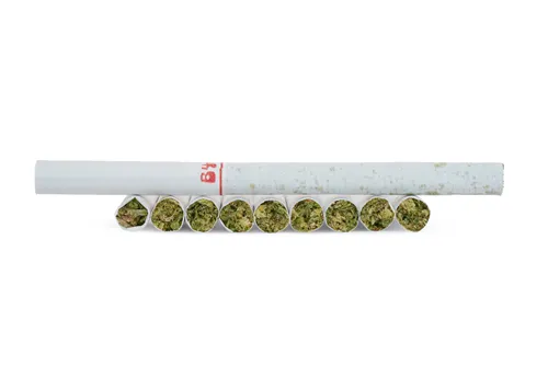 Lemon Diesel - Back Forty - Joints