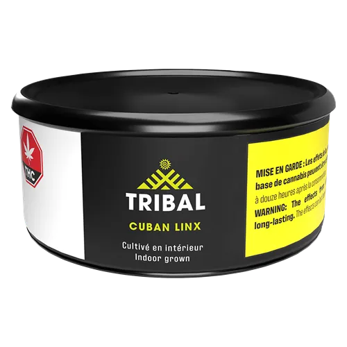 Cuban Linx - Tribal - Dried Flower