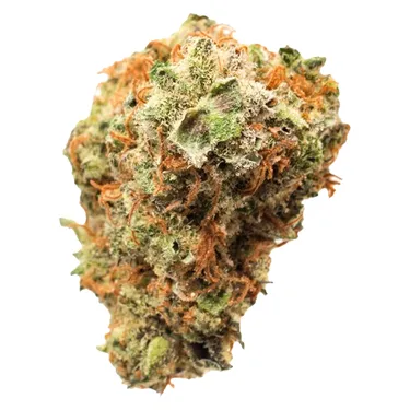 Product image of Gelato 41 x Triangle Kush - Thumbs Up - Dried Flower