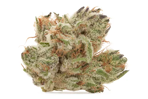 Product image of Mosa Orange Punch - 5 Points Cannabis - Dried Flower