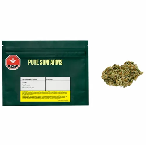 Backcross Mints - Pure Sunfarms - Dried Flower