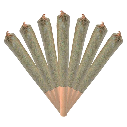 Product image of Jack Herer Jamboree Smiggies - Chillbilly - Joints