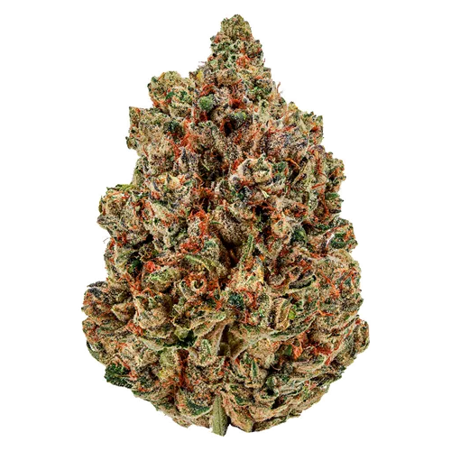 Product image of Sugar Daddy - Cheers Cannabis - Dried Flower