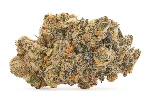Product image of BC Selects: Pineapple Marker 143 - Broken Coast - Dried Flower