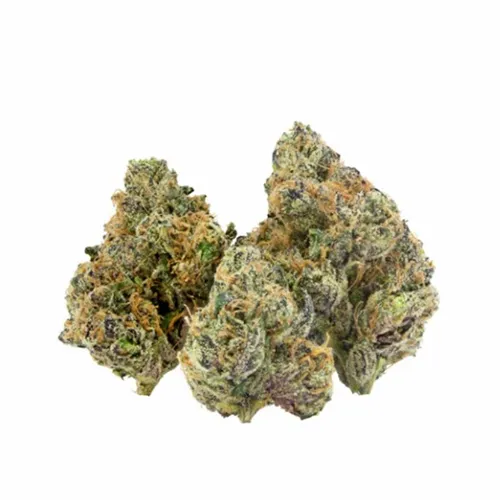 Sudz - F.A.A.F.O. - Dried Flower