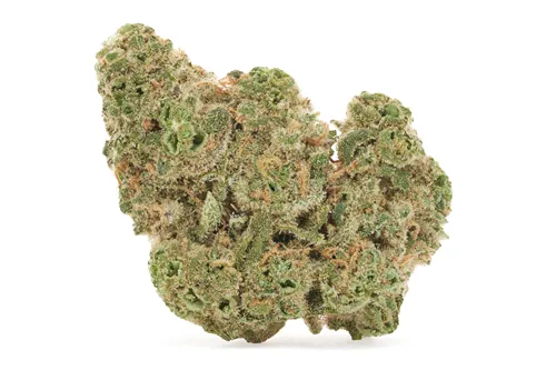 Product image of Lemon Diesel - 1964 - Dried Flower
