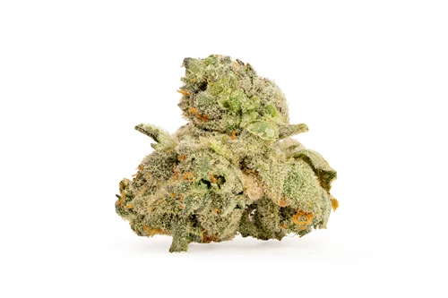 Product image of Frosted Gelato - Casa Di Fiore - Dried Flower