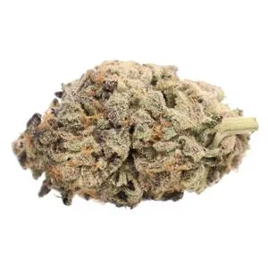 Product image of Big Larry - Truro - Dried Flower